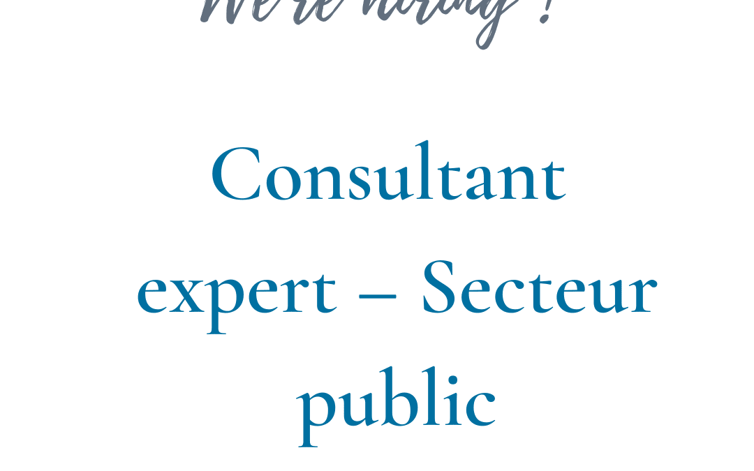 Consultant expert – Secteur public (H/F) – Paris